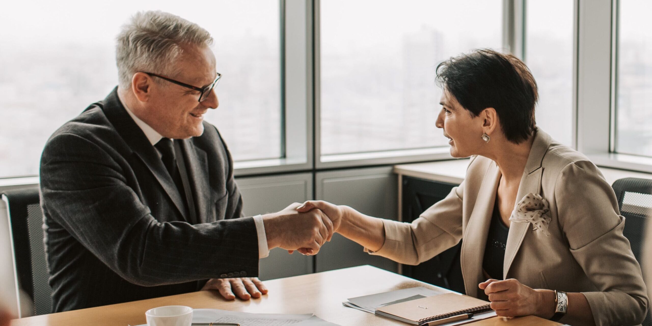 Two professionals shaking hands with each other.